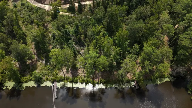 $100,000 | 0 Hummingbird Drive, Trenton, SC 29847