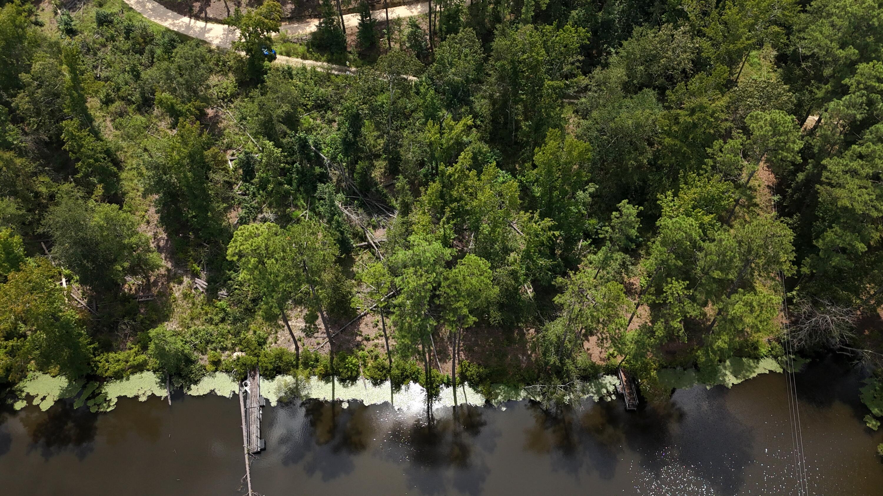 0 Hummingbird Drive Trenton, SC 29847 - Photo 6 of 14 DJI_20250831131640_0356_D