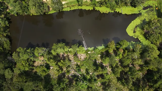 $100,000 | 0 Hummingbird Drive, Trenton, SC 29847