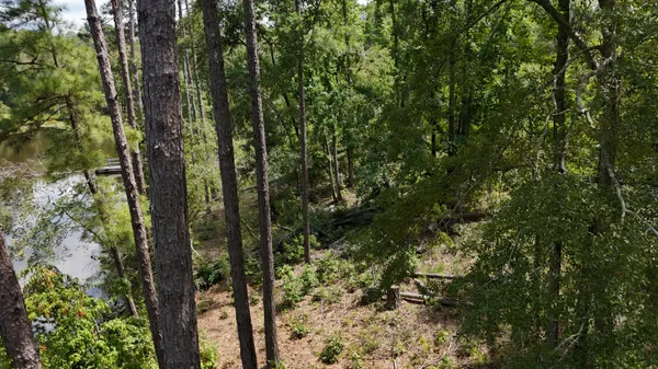 $100,000 | 0 Hummingbird Drive, Trenton, SC 29847