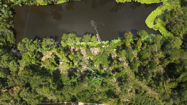 $100,000 | 0 Hummingbird Drive, Trenton, SC 29847