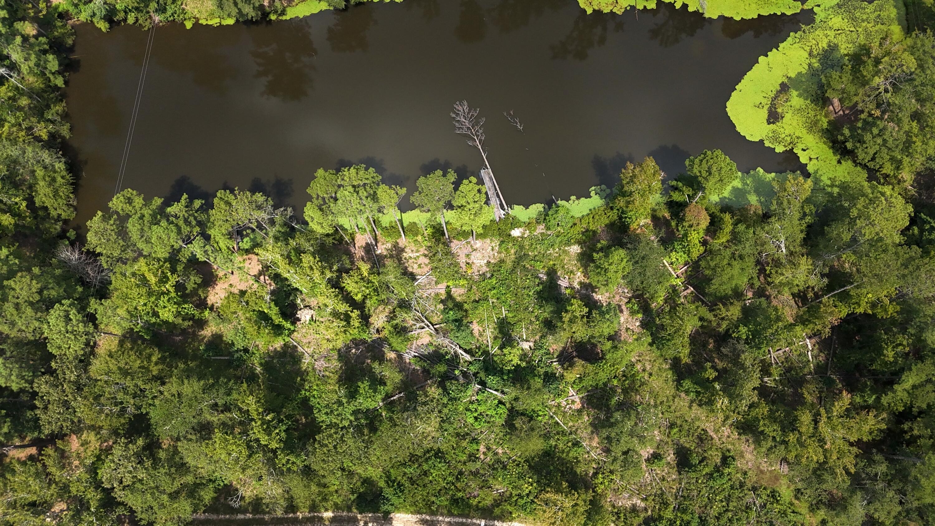 0 Hummingbird Drive Trenton, SC 29847 - Photo 9 of 14 DJI_20250831132010_0361_D