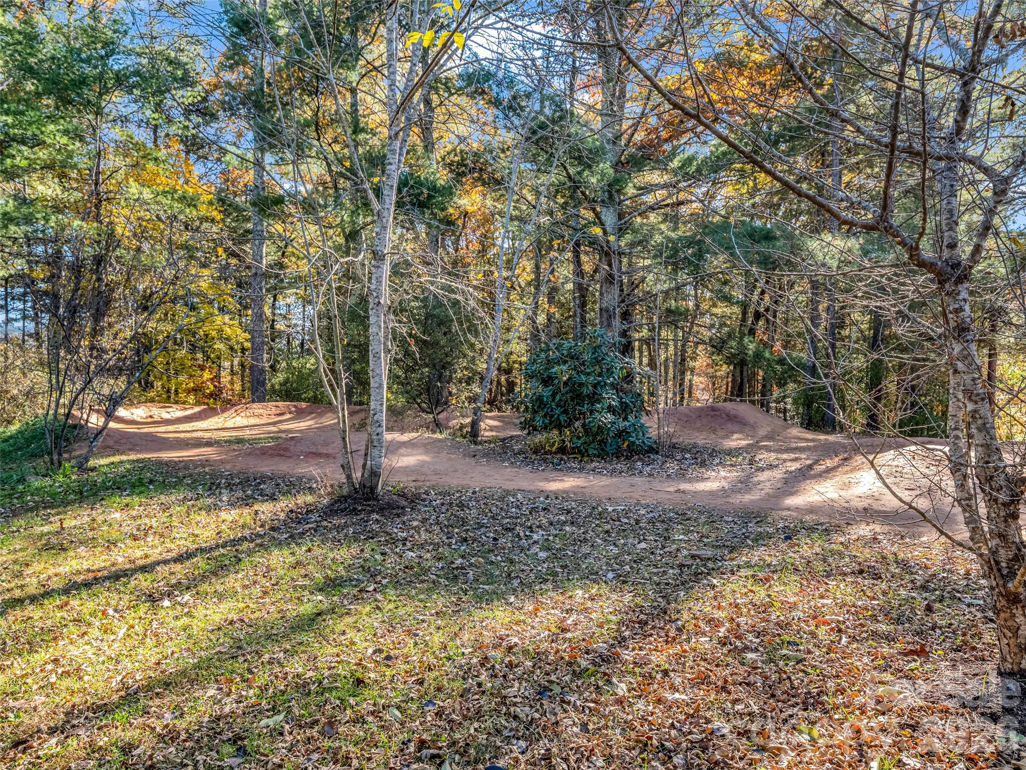 101 Bent Creek Ranch Road Asheville, NC 28806 - Photo 43 of 48