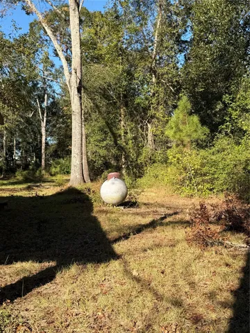 a view of backyard with wooden fence