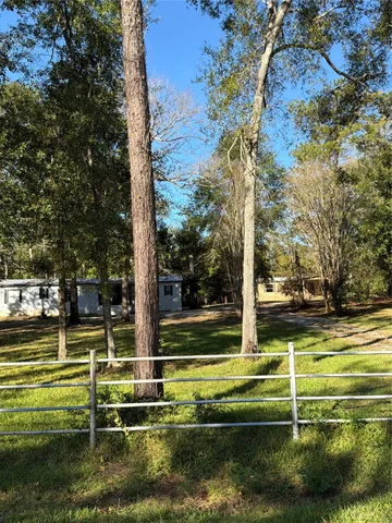 a view of a park with large trees