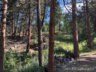 85 Mable Lane Bailey, CO 80421 - Photo 14 of 19 Gallery Image 14