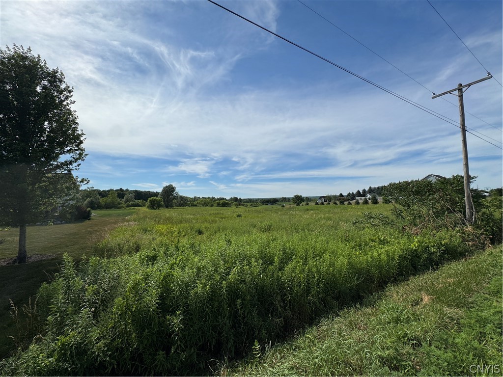 Ives Road Marcy, NY 13403 - Photo 3 of 4