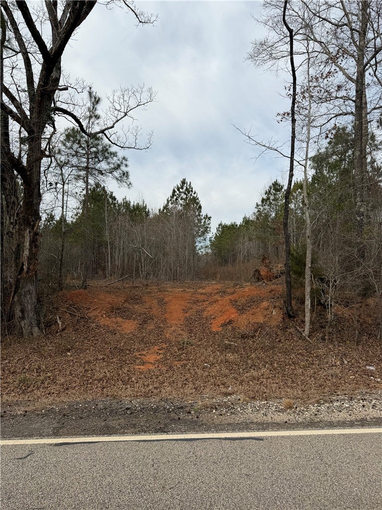 4 Old Columbus Road Opelika, AL 36804 - Photo 1 of 3 Gallery Image 1