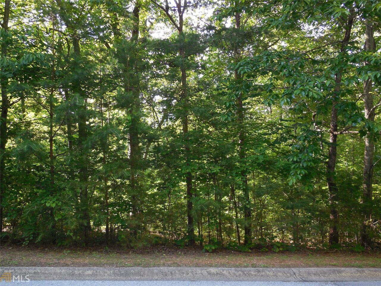 0 Crabapple Road, Unit LOT 10 Clarkesville, GA 30523 - Photo 1 of 1 Gallery Image 1