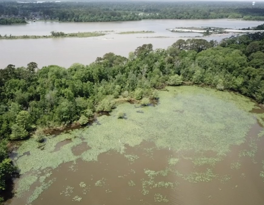 0 Reba Lane Huffman, TX 77336 - Photo 2 of 5