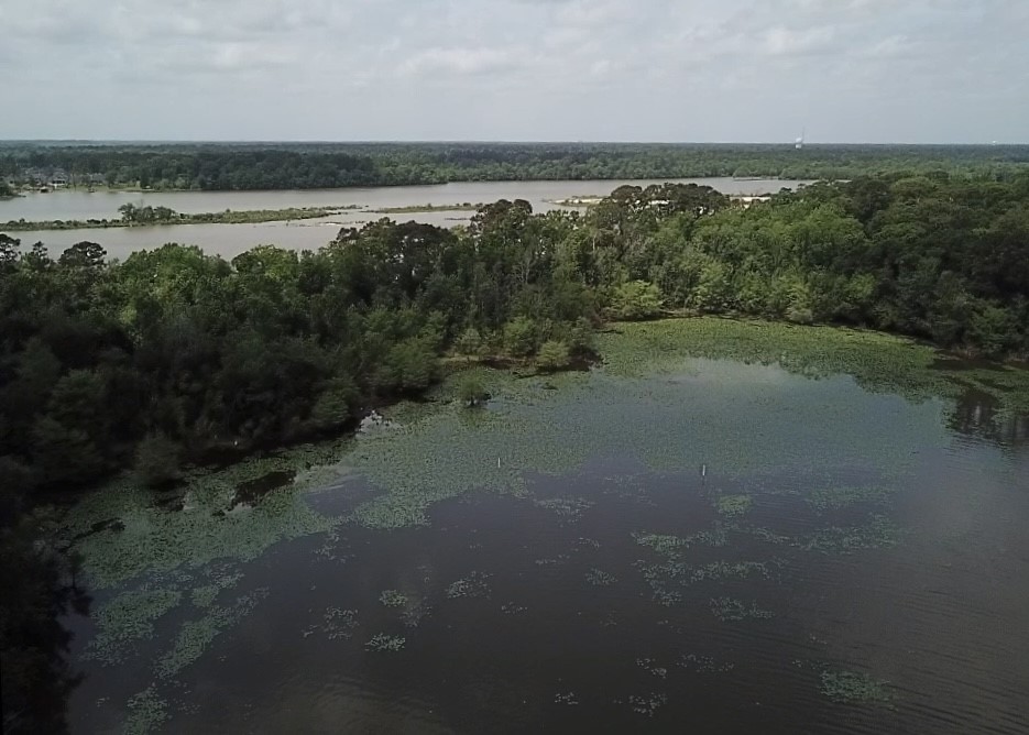 0 Reba Lane Huffman, TX 77336 - Photo 3 of 5