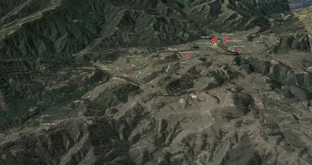 a view of outdoor space with a tree