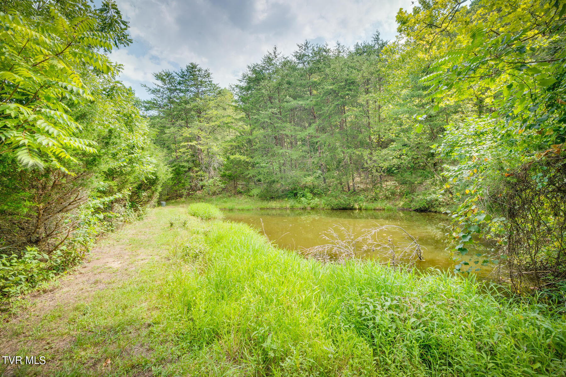 101 Ridge Road Fall Branch, TN 37656 - Photo 4 of 22 004