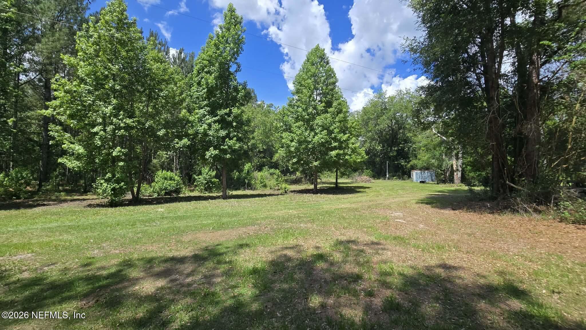 3923 Skipper Road Middleburg, FL 32068 - Photo 9 of 25 a view of a field with trees in the background