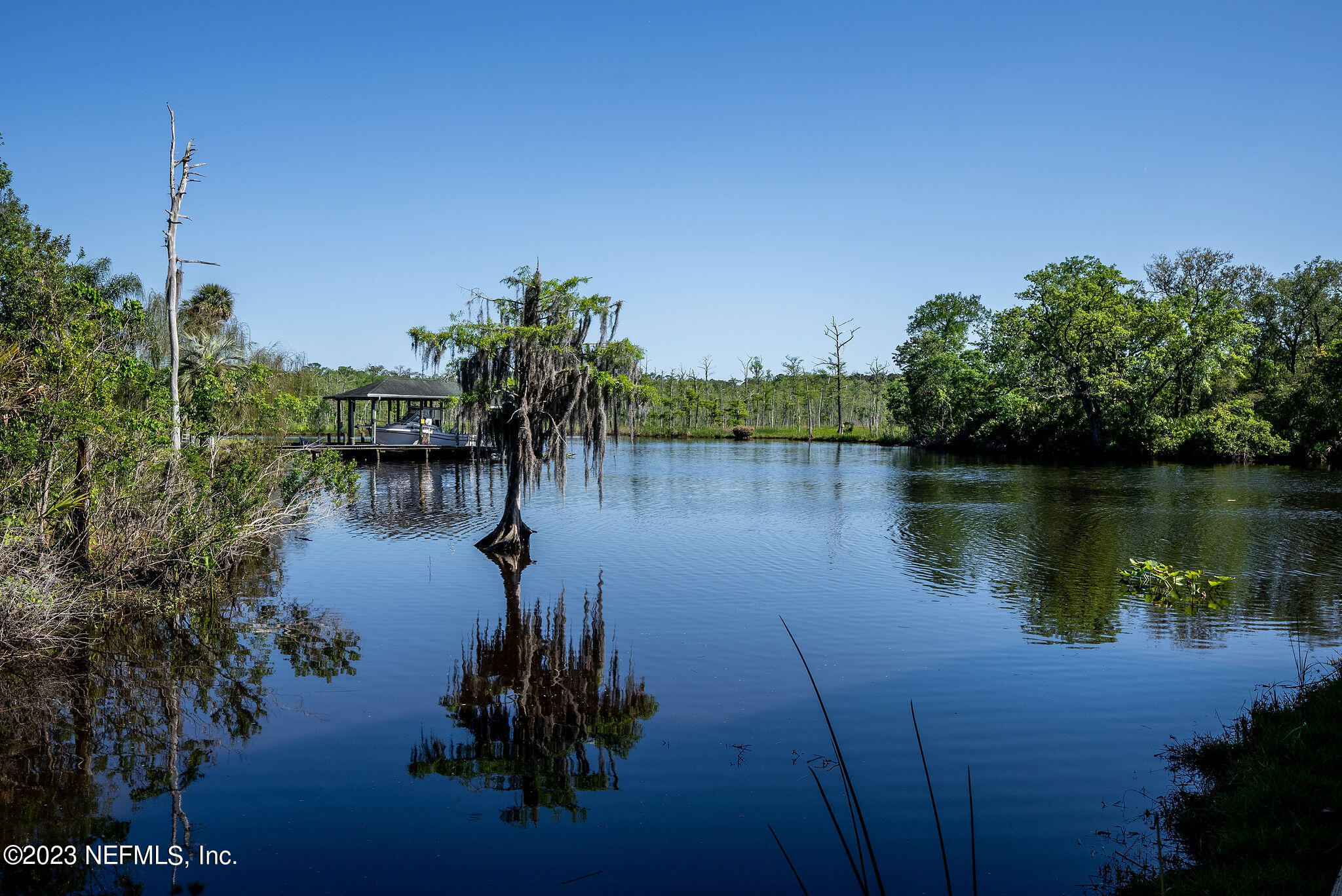 3958 Baymeadows Road, Unit 2502 Jacksonville, FL 32217 - Photo 70 of 87 outside-13
