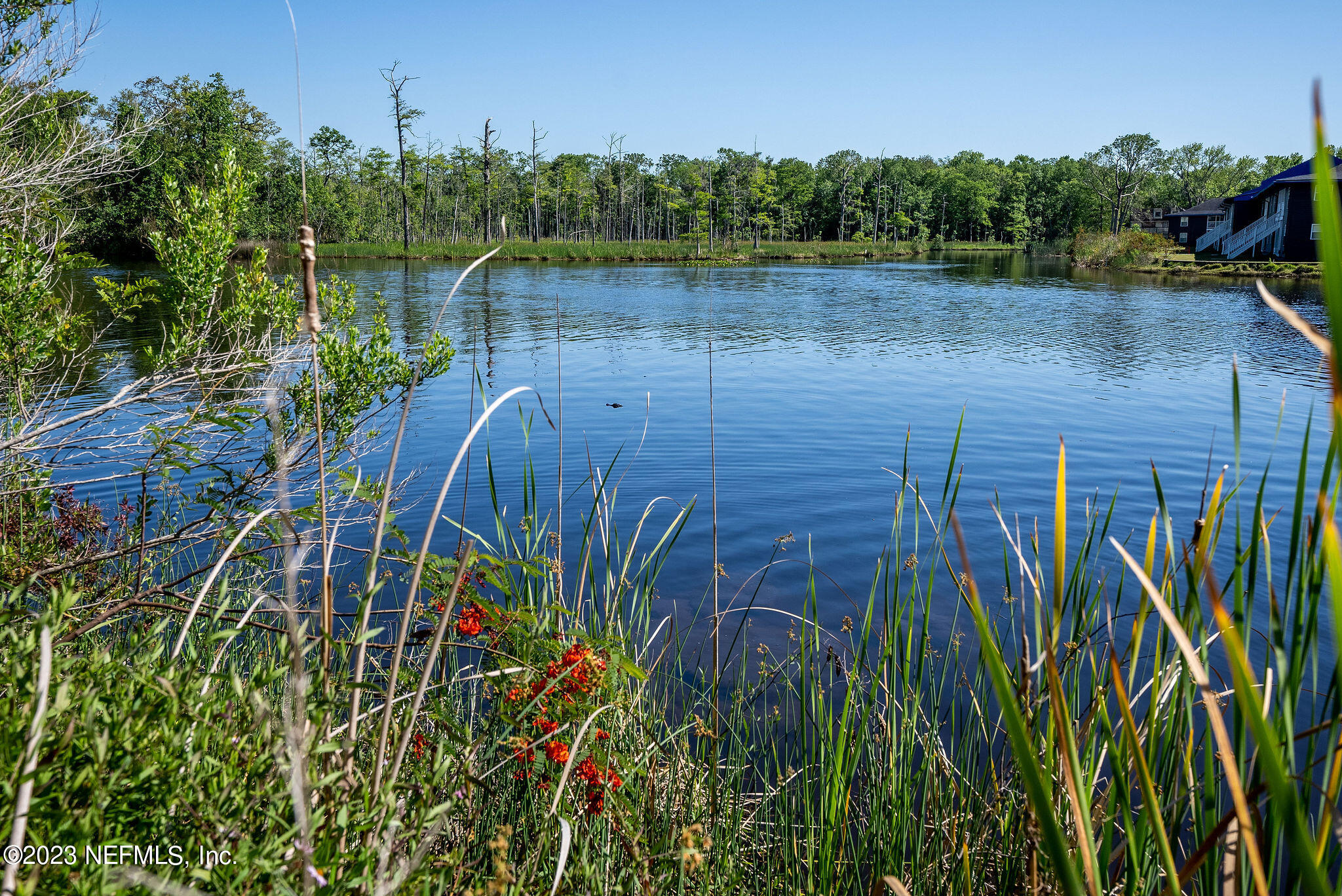 3958 Baymeadows Road, Unit 2502 Jacksonville, FL 32217 - Photo 73 of 87 outside-16