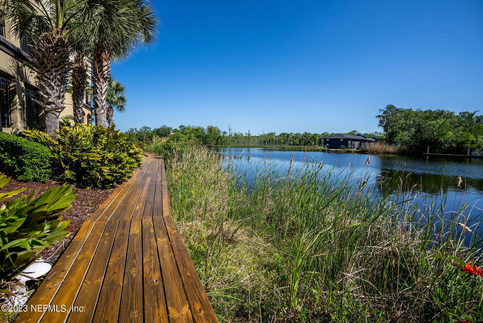 3958 Baymeadows Road, Unit 2502 Jacksonville, FL 32217 - Photo 74 of 87 outside-17