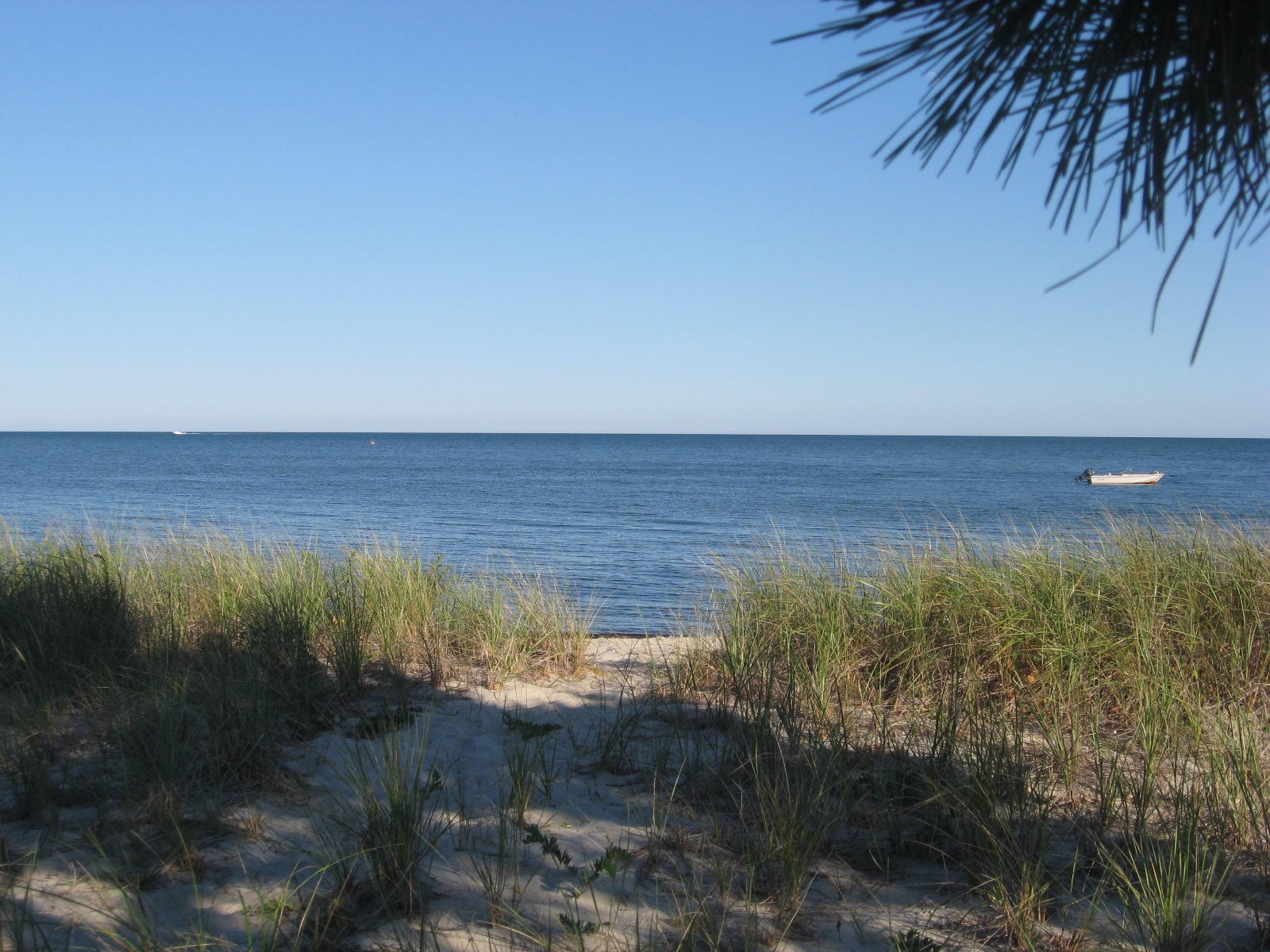 25 Vineyard Road Cotuit, MA 02635 - Photo 1 of 20 IMG_2609