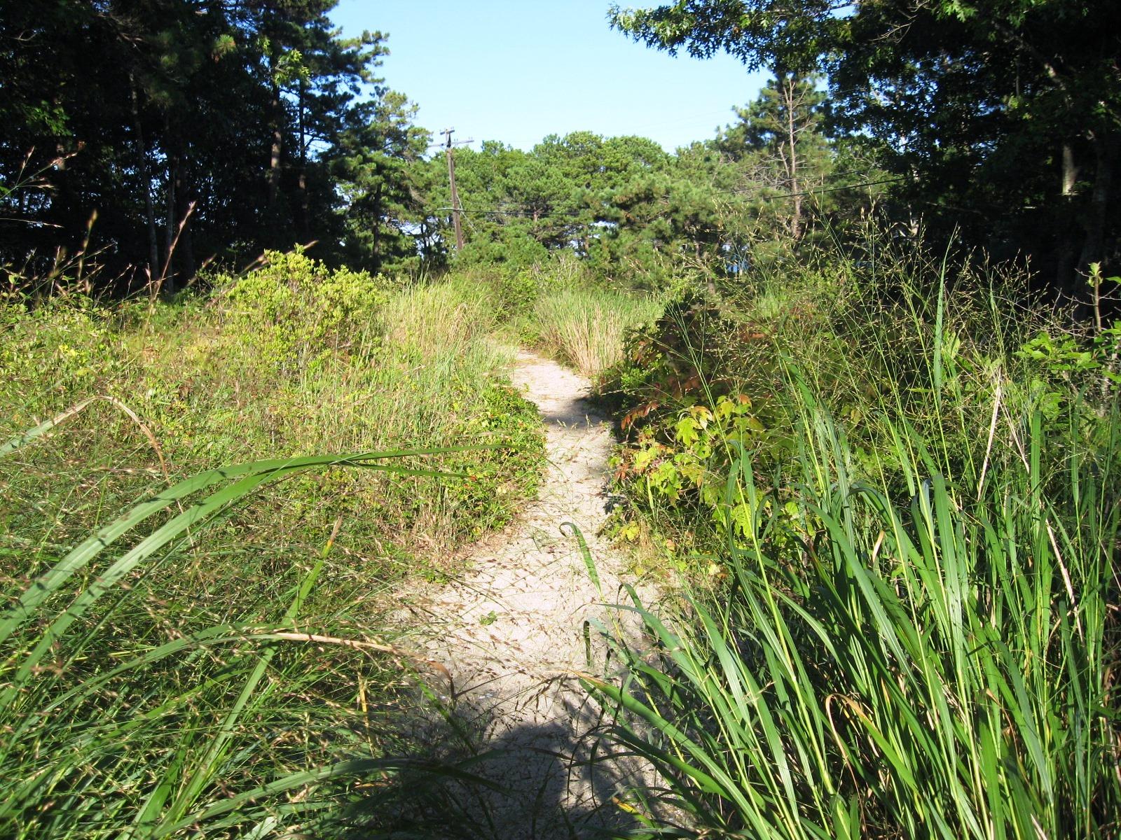 25 Vineyard Road Cotuit, MA 02635 - Photo 4 of 20 IMG_2604