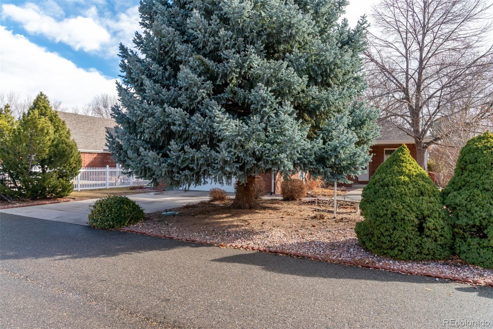 203 Hubbell Street Berthoud, CO 80513 - Photo 39 of 49 a view of a yard with plants and trees