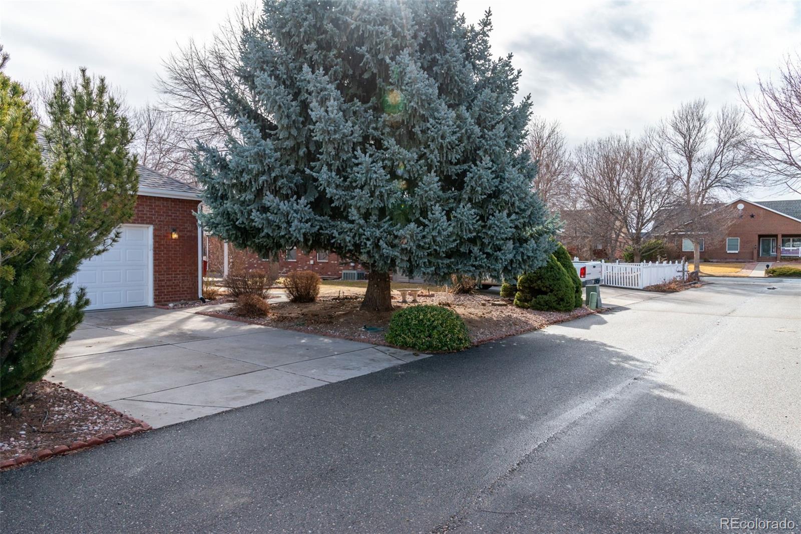 203 Hubbell Street Berthoud, CO 80513 - Photo 40 of 49 a view of road with large trees