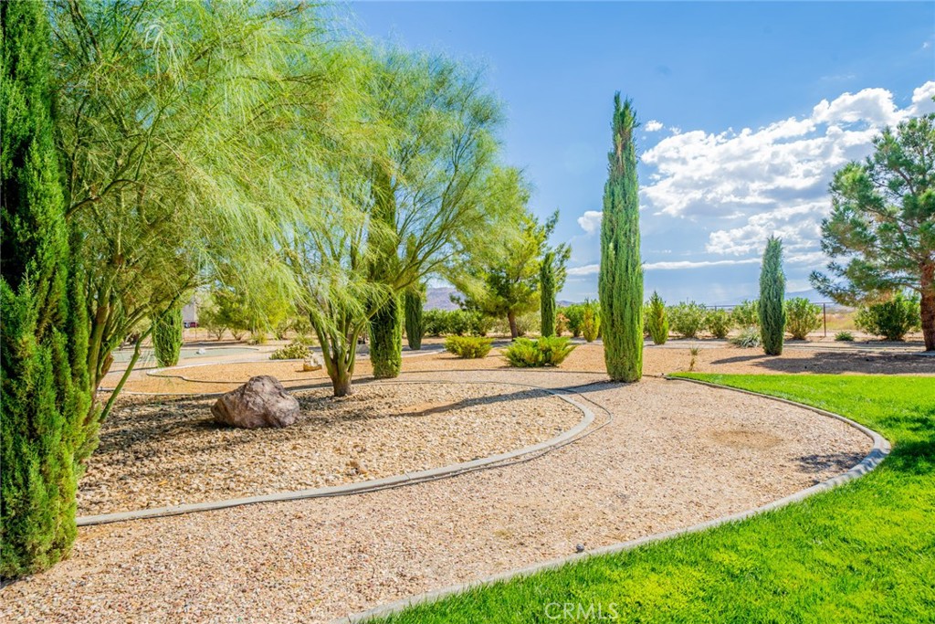 22241 Nisqually Road, Unit 118 Apple Valley, CA 92308 - Photo 49 of 56 a view of a park with plants and trees