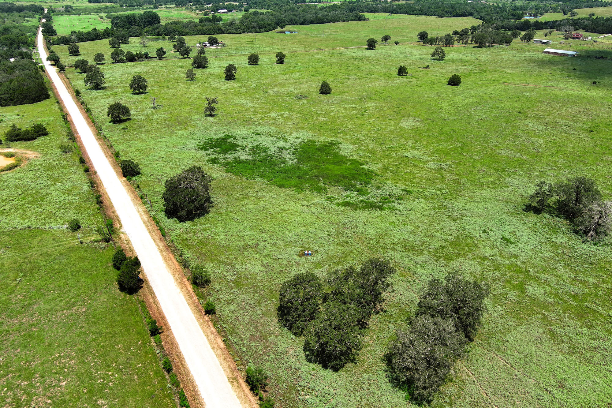 Tbd Hofferek Road Rosanky, TX 78953 - Photo 17 of 32 Vast, verdant acreage beckons, featuring a winding road and mature trees against a distant rural landscape.