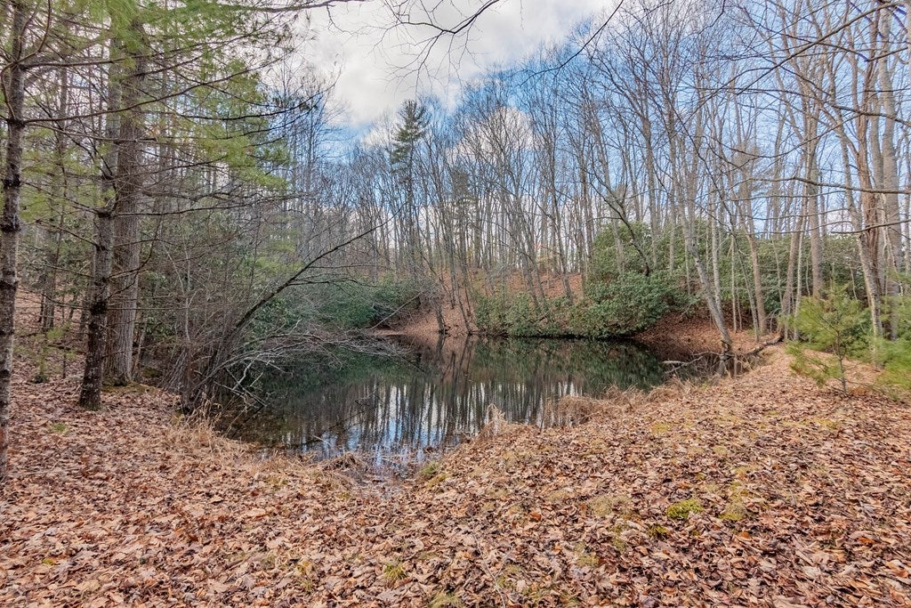 922 Ridgeview Road Northwest, Unit 4160 Floyd, VA 24091 - Photo 8 of 37 Gallery Image 8