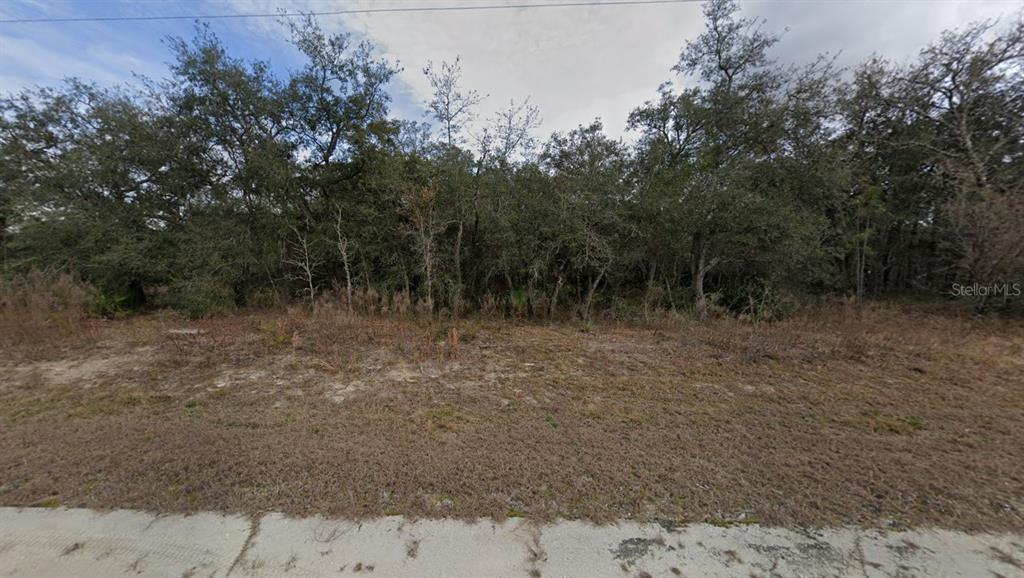 18364 Parakeet Road Brooksville, FL 34614 - Photo 2 of 6