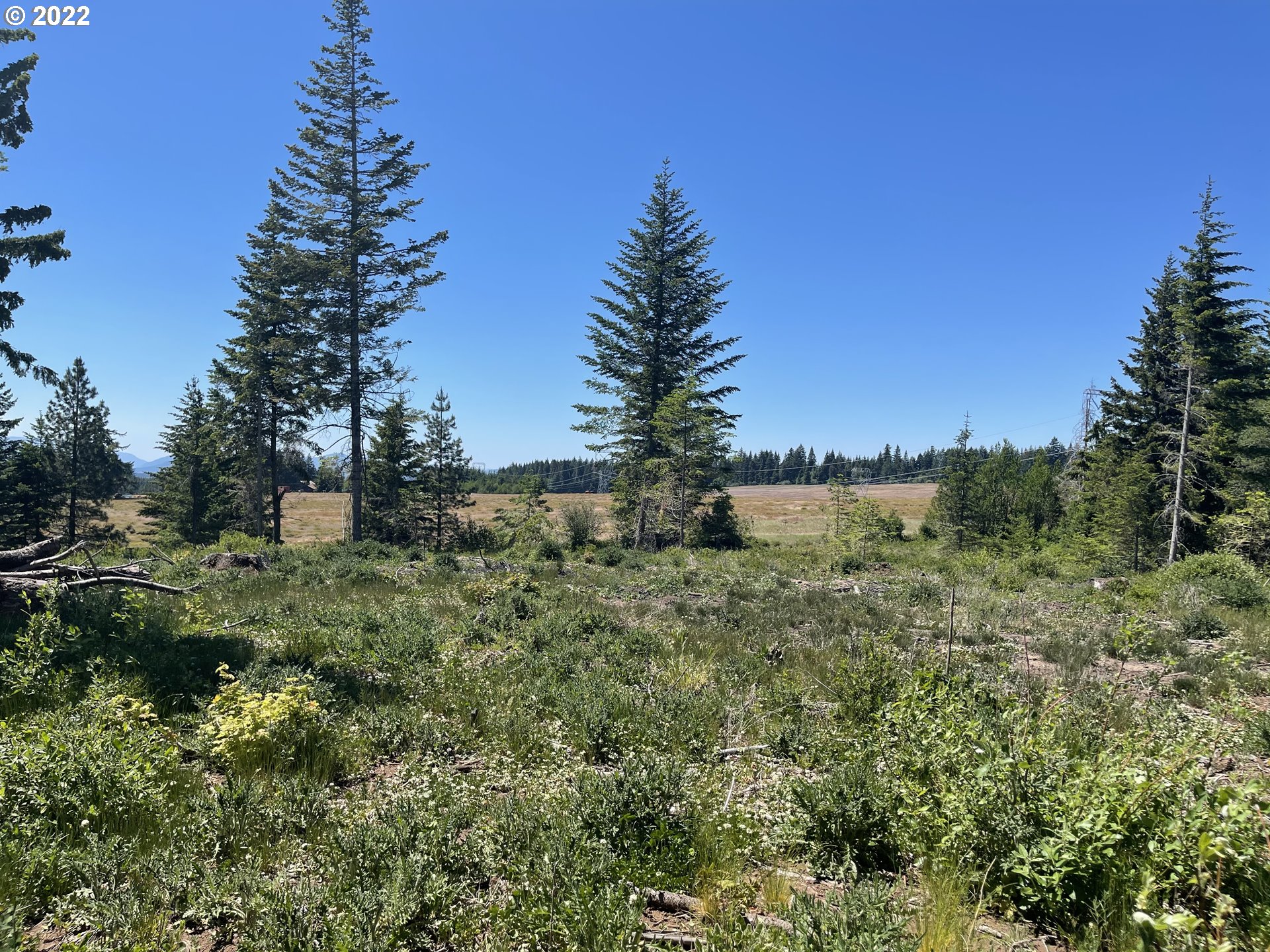 675 Lyle Snowden Road Lyle, WA 98635 - Photo 1 of 12 Gallery Image 1