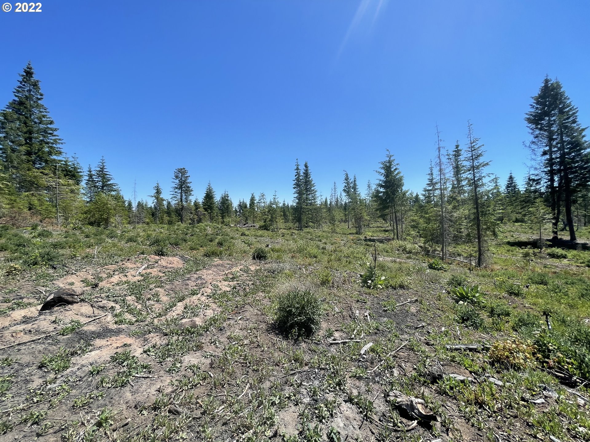 675 Lyle Snowden Road Lyle, WA 98635 - Photo 5 of 12 Gallery Image 5