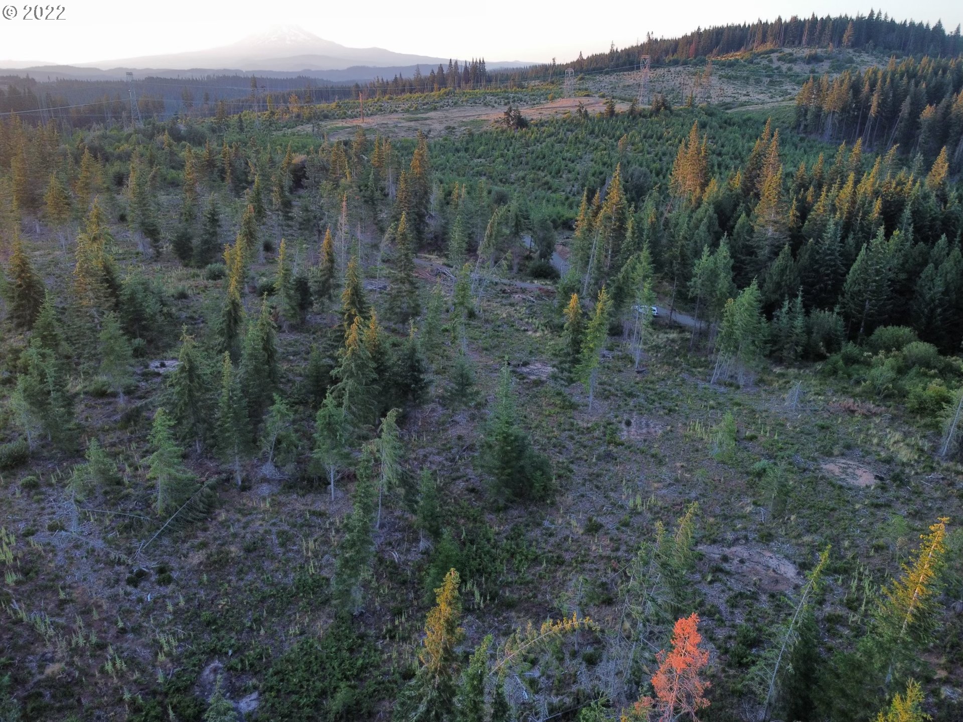 675 Lyle Snowden Road Lyle, WA 98635 - Photo 8 of 12 Gallery Image 8