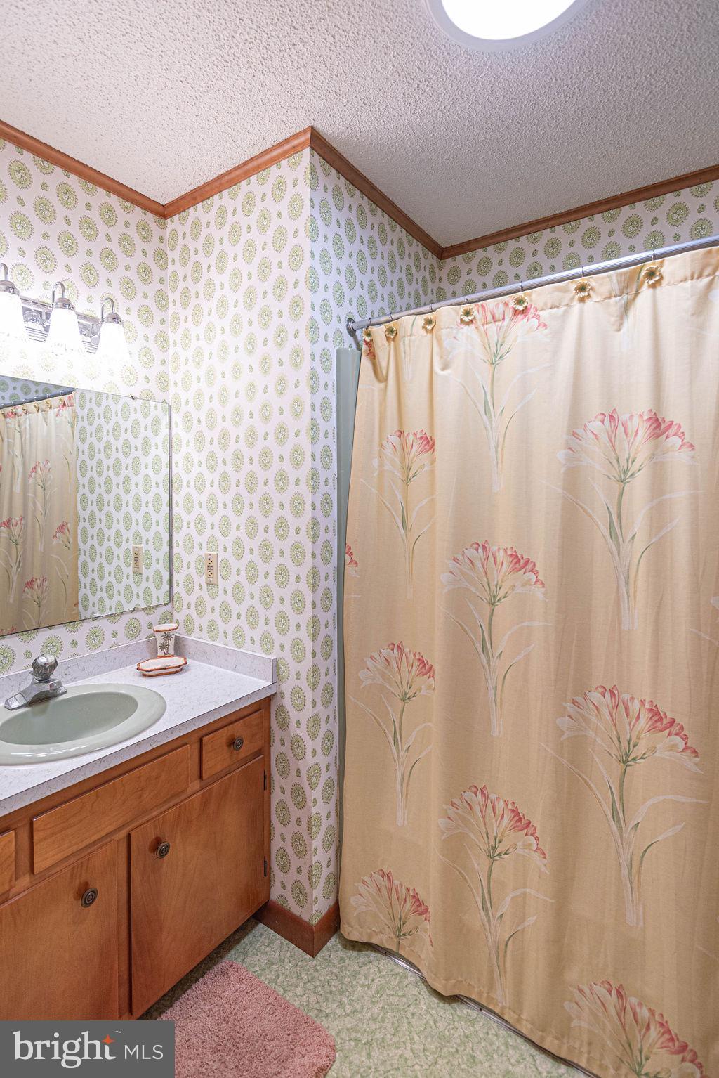 13804 Fiesta Road Ocean City, MD 21842 - Photo 22 of 52 Hall Bath