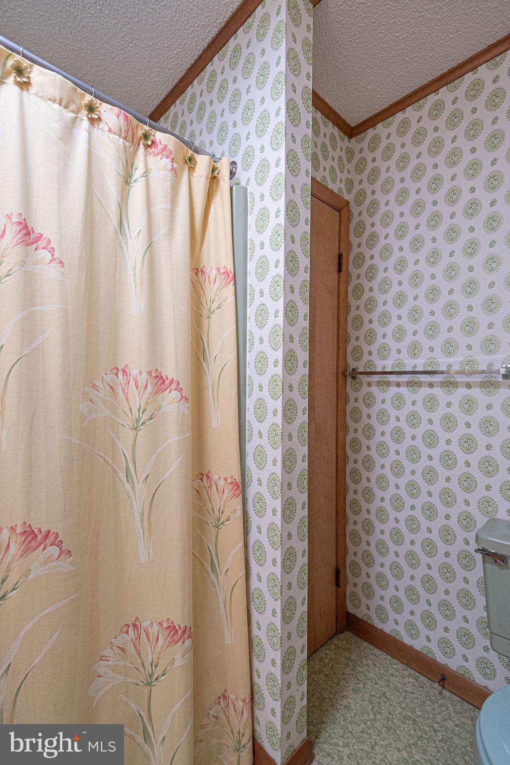 13804 Fiesta Road Ocean City, MD 21842 - Photo 23 of 52 Hall Bath w/ Linen Closet