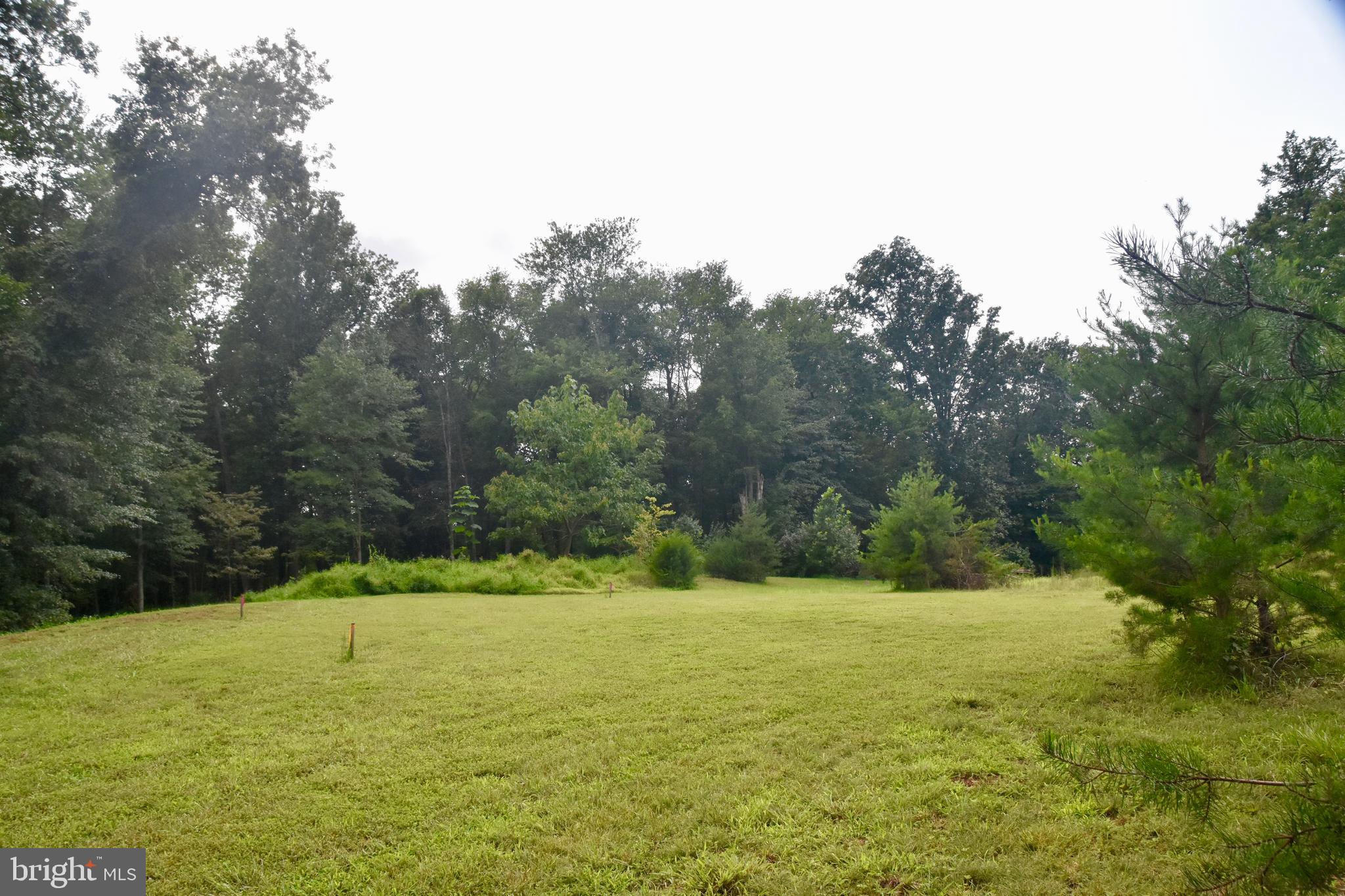 15260 Riding Club Drive Haymarket, VA 20169 - Photo 2 of 3 Potential Home Site