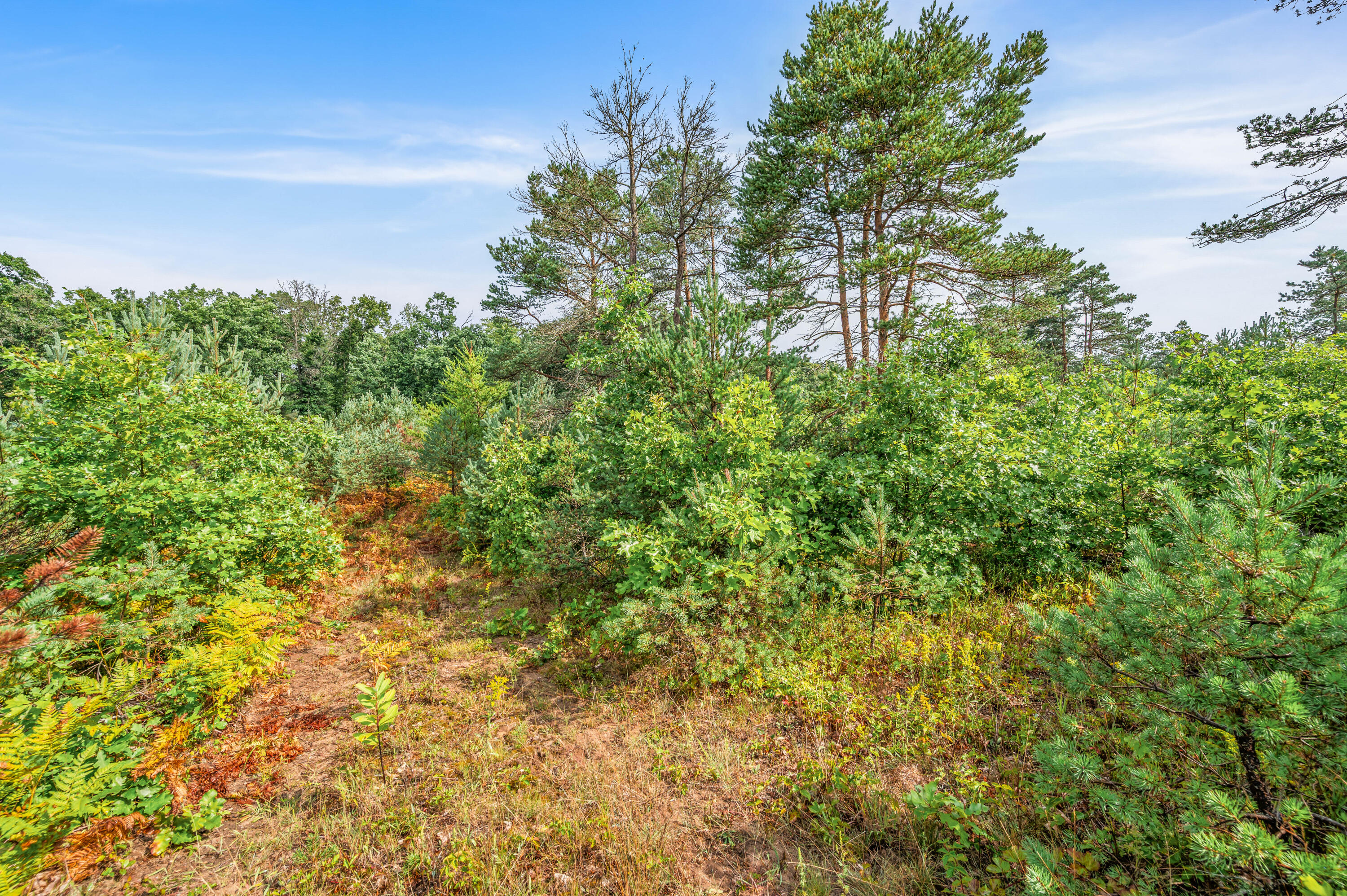 6584 East 96th Street Reed City, MI 49677 - Photo 57 of 61 6584-E96thSt-ReedCity-54