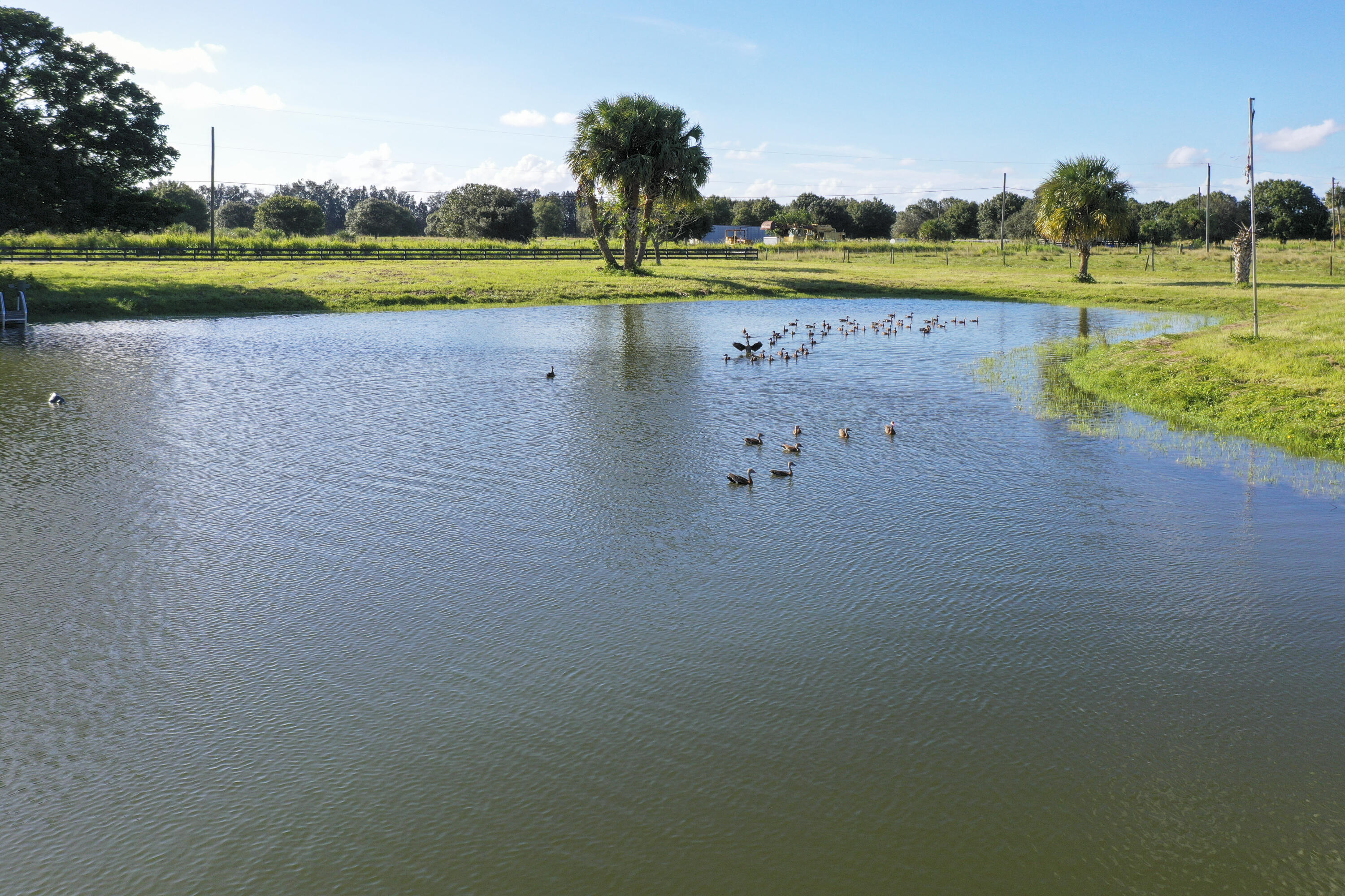 4400 McCarty Road Fort Pierce, FL 34945 - Photo 4 of 17 mc 13