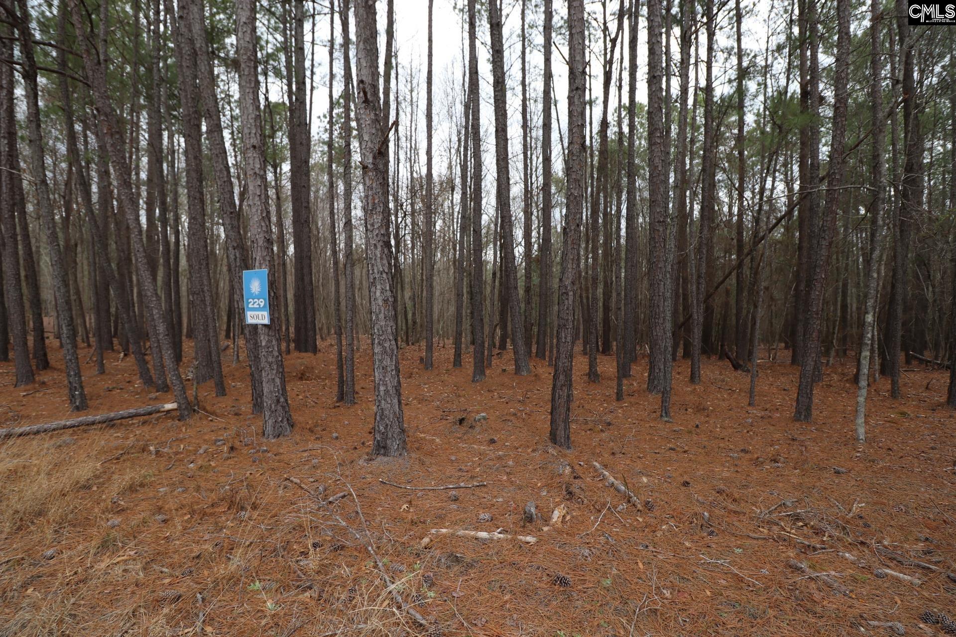Lot 229 Granny Hill Road Prosperity, SC 29127 - Photo 49 of 61