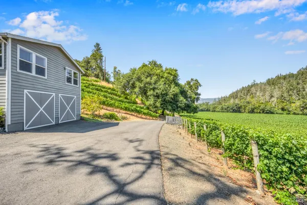 a view of a back yard of the house