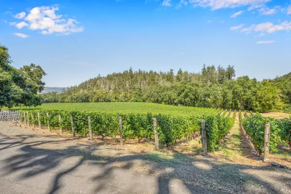 a view of a lake with a big yard