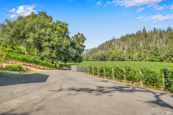 a view of a lake with a big yard