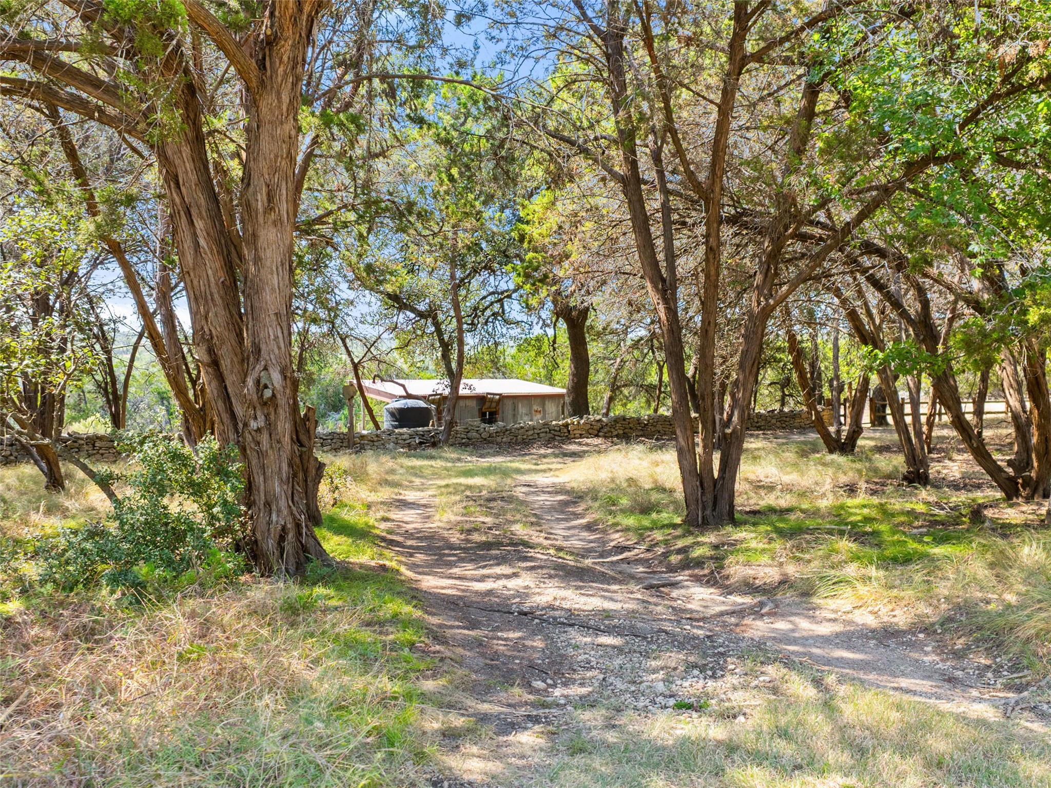 5818 Ranch Road 165 Blanco, TX 78606 - Photo 10 of 20 a view of yard with trees