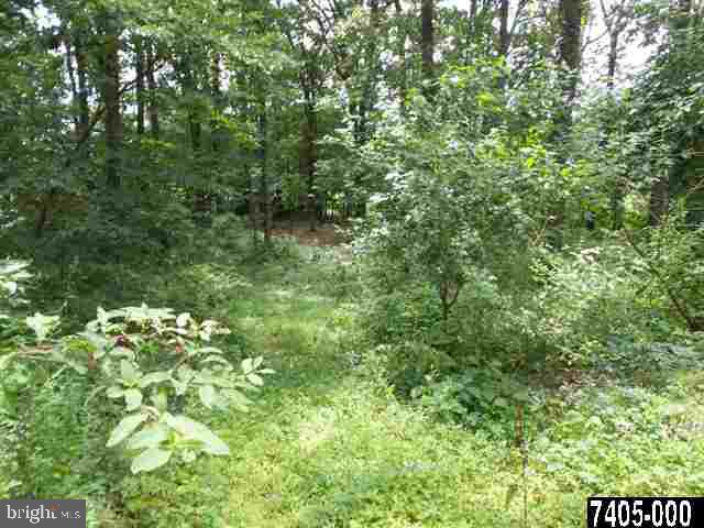 5188 Waltersdorff Road Spring Grove, PA 17362 - Photo 22 of 25