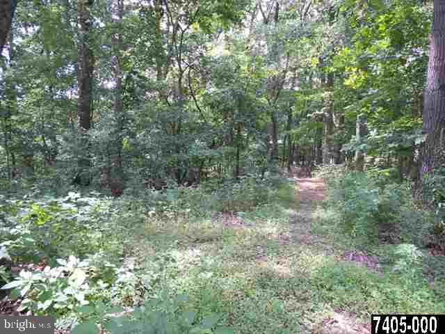 5188 Waltersdorff Road Spring Grove, PA 17362 - Photo 23 of 25