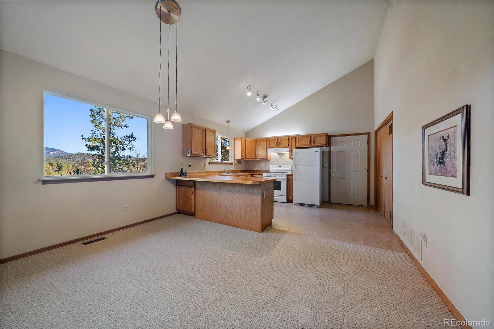 14 Aspen Drive Bailey, CO 80421 - Photo 17 of 31