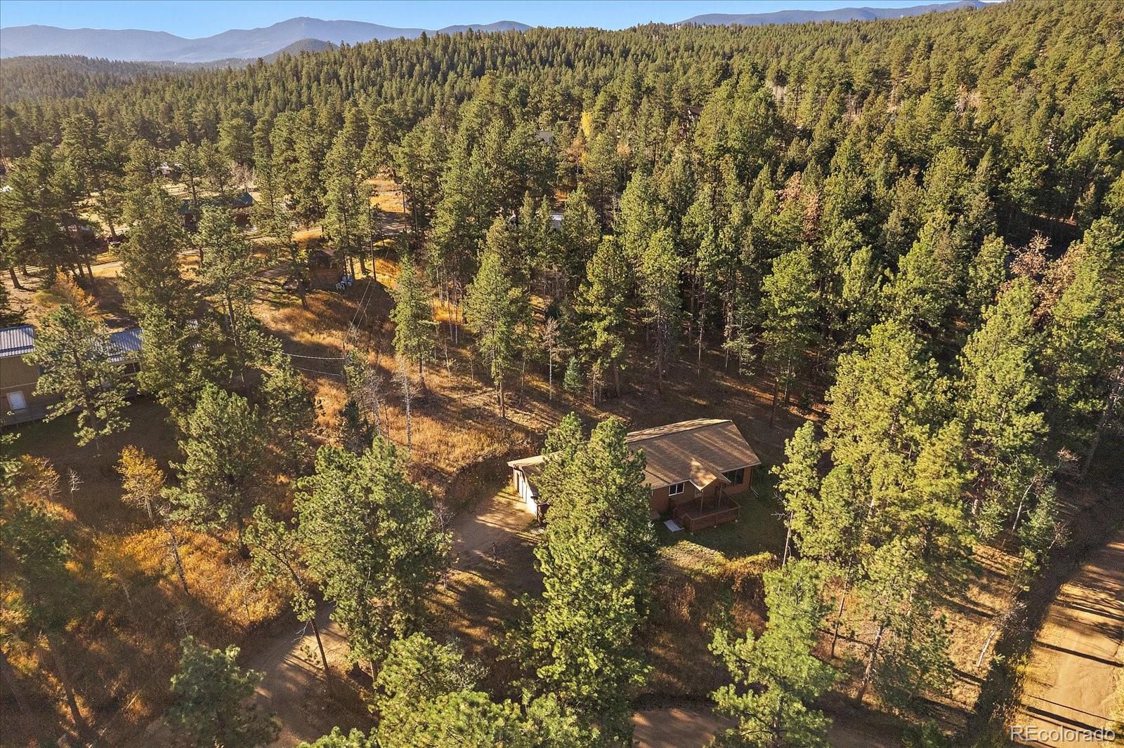 14 Aspen Drive Bailey, CO 80421 - Photo 28 of 31