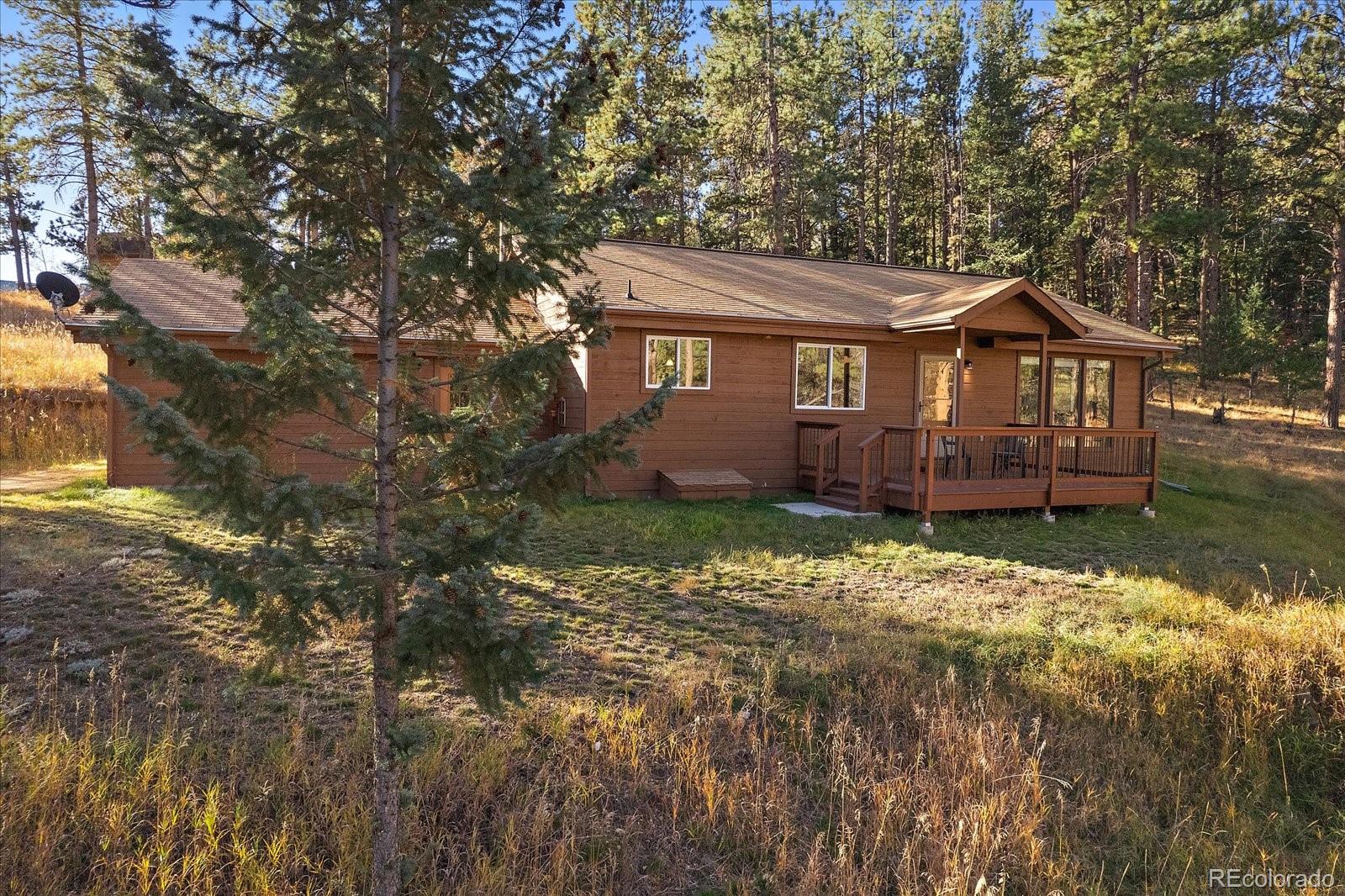 14 Aspen Drive Bailey, CO 80421 - Photo 3 of 31