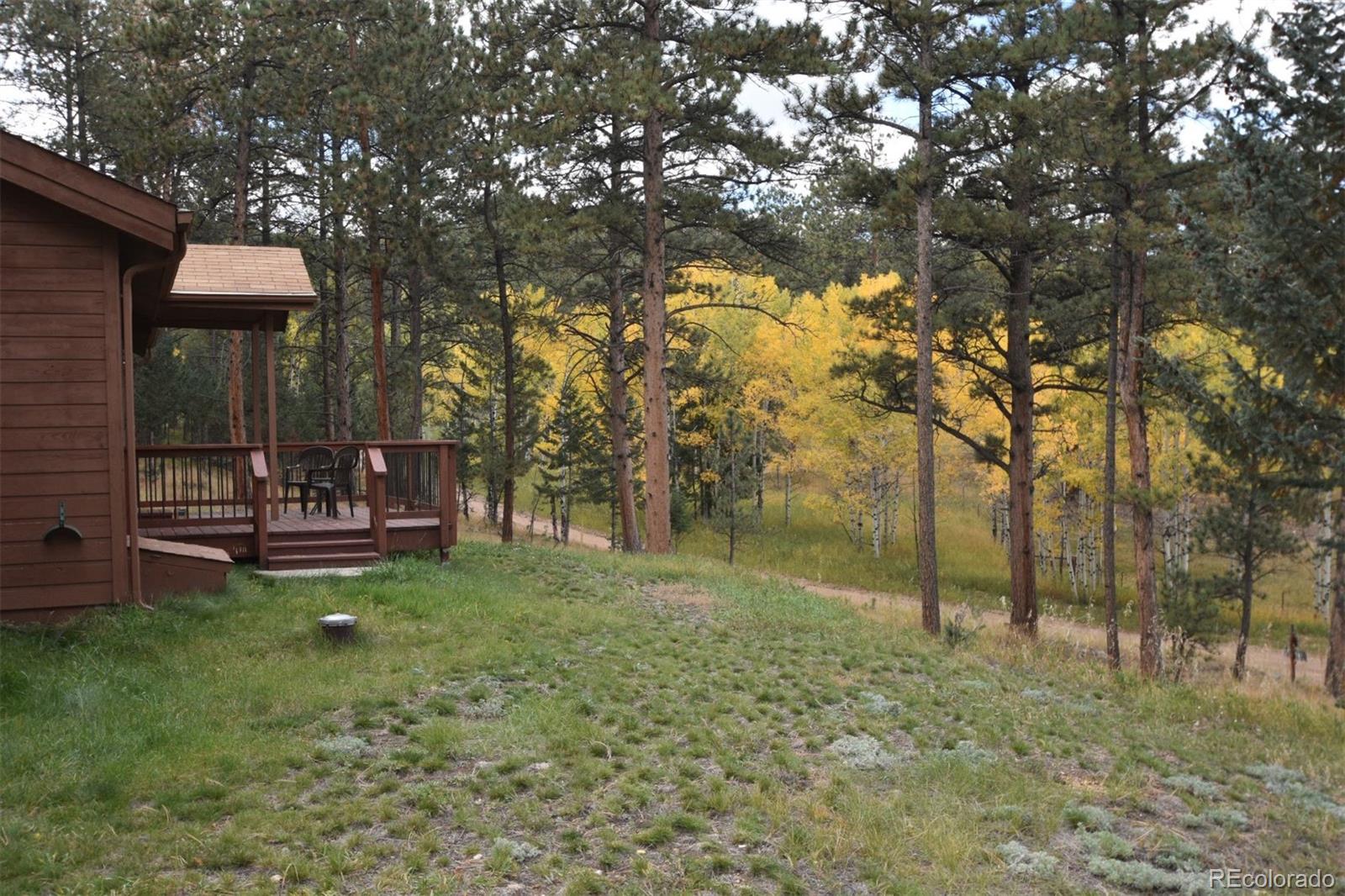 14 Aspen Drive Bailey, CO 80421 - Photo 5 of 31