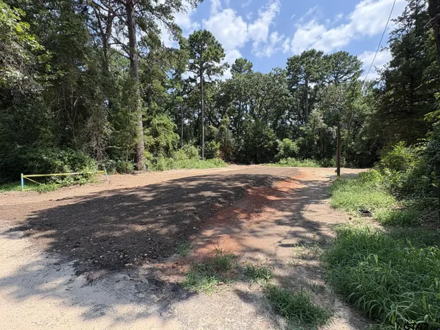 a view of road with trees