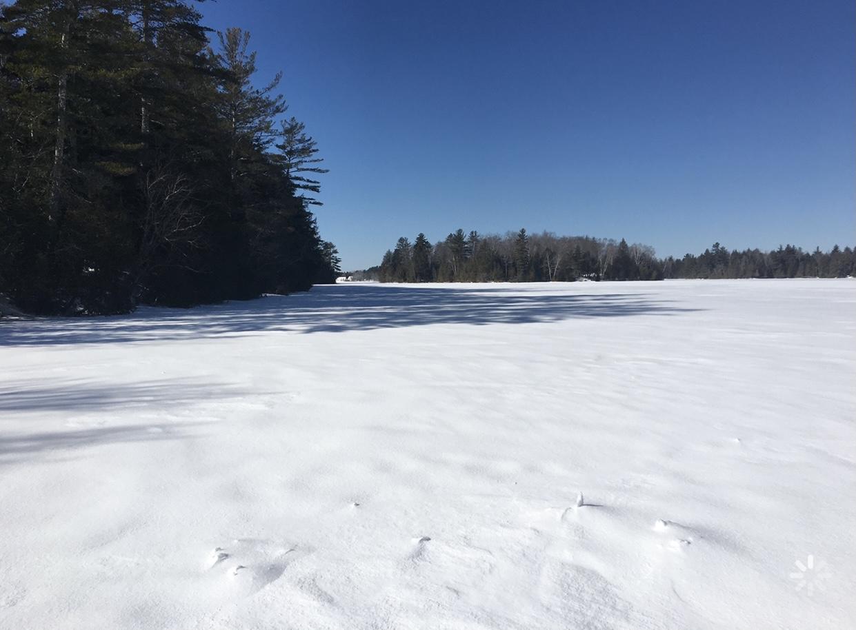 152 Notch Road Dover-Foxcroft, ME 04426 - Photo 22 of 32 A2ADB8E1-5772-449E-94C4-E8357DD651FA